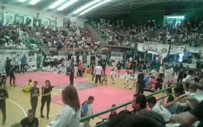 Grandes Campeones